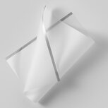 transparent v02