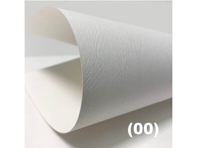 Color STYLE Leather 00 white.847d3fac