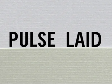 Pulse Laid 2025.7de28f6f