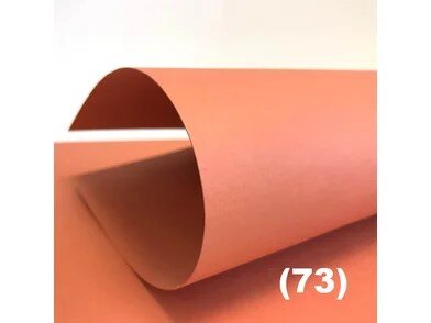 Color STYLE Fresh 73 copper orange.7c8dc26a