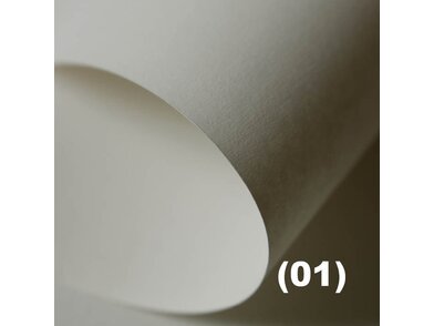 Color STYLE recycling 01 champagne.1e7c7f25